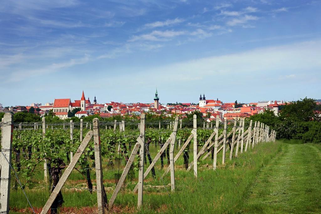 Vas Sklep - Vinny Sklep A Penzion Znojmo Eksteriør bilde